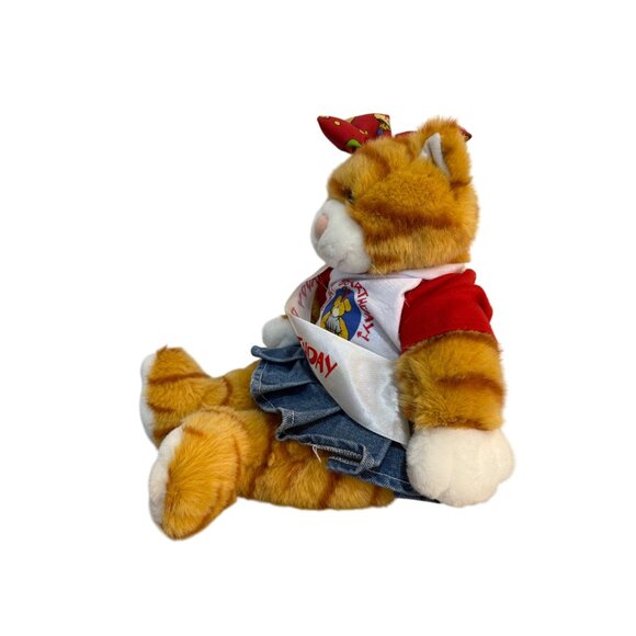 Build A Bear Orange Tabby Cat Happy Birthday Outfit Plush Stuffed Animal 17" - Picture 5 of 14